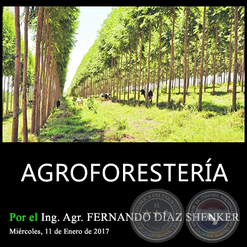 BENEFICIOS AGRONÓMICOS Y AMBIENTALES - Agroforestería - Ing. Agr. FERNANDO DÍAZ SHENKER - Miércoles, 11 de Enero de 2017